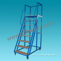 warehouse ladder